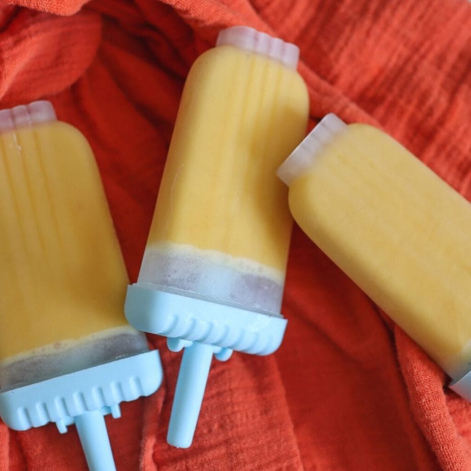 Classic Vanilla Pudding Pops Salt in my Coffee