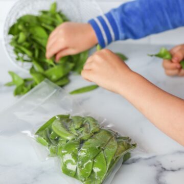 children putting snap peas into freezer bags