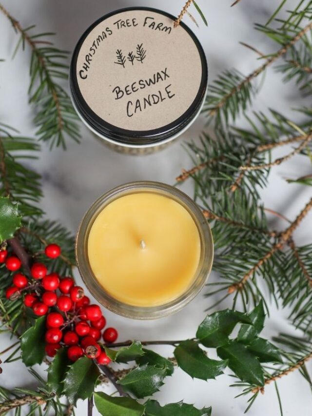Fir & Pine Beeswax Candles Salt in my Coffee