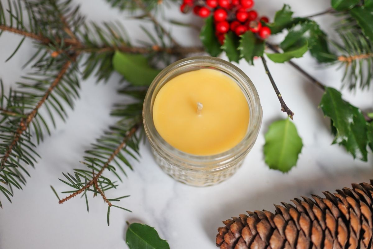 resurrection fern: A Description of How I Made a Mushroom Candle out of  Beeswax