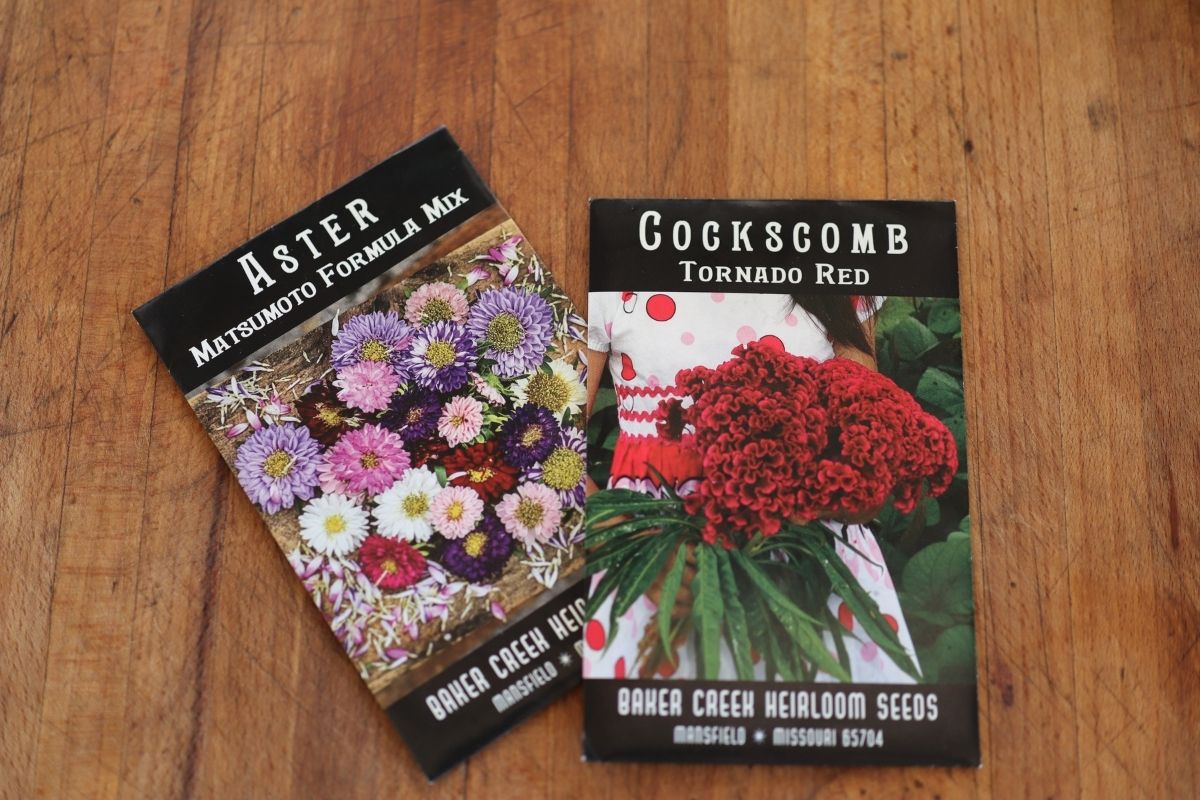 10 Heirloom Seed Companies & Why To Buy Them