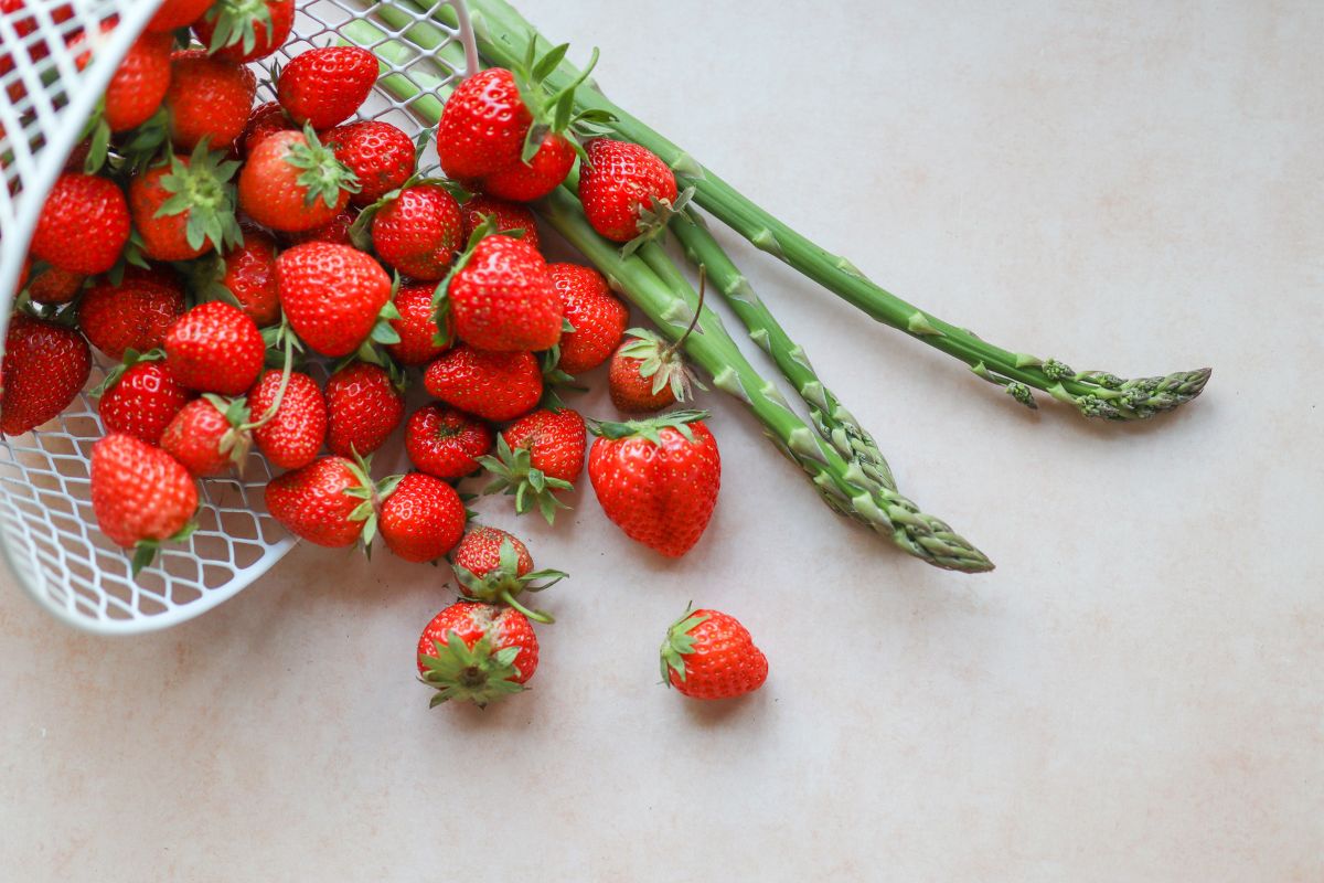 Image of Strawberry and asparagus bed close up strawberry plant