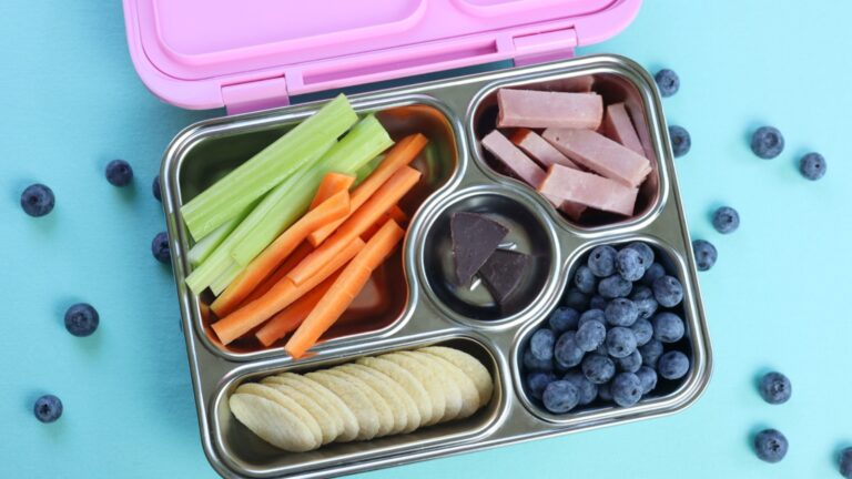 10 Healthy Bento Box Lunch Ideas For Kids - Salt in my Coffee
