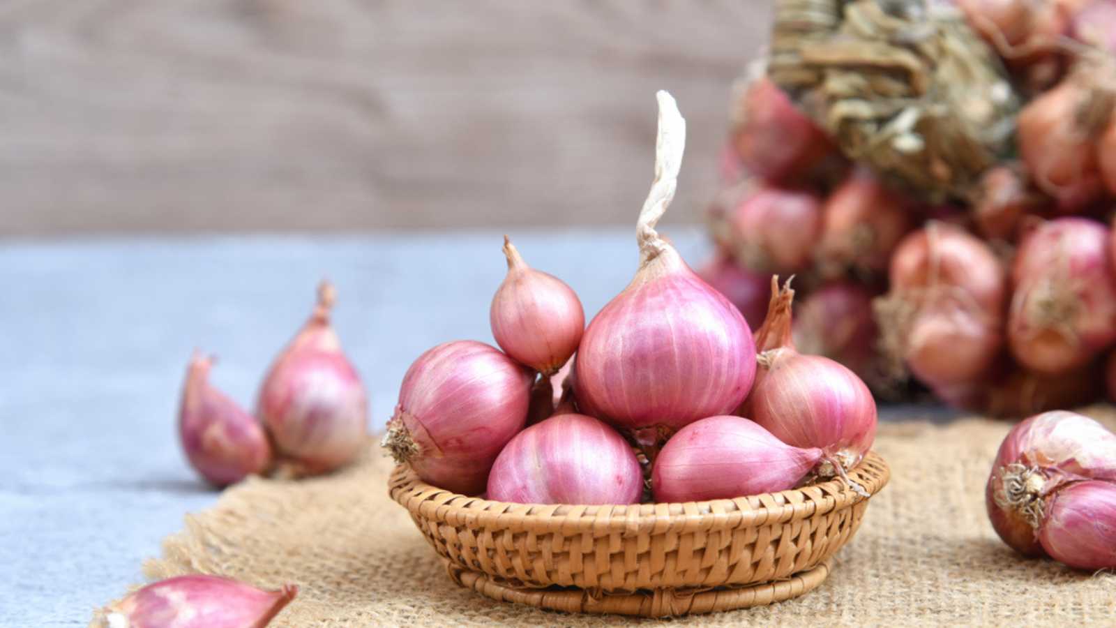 Garlic vs. Shallots: What's the Difference? - Homeground Grill & Bar