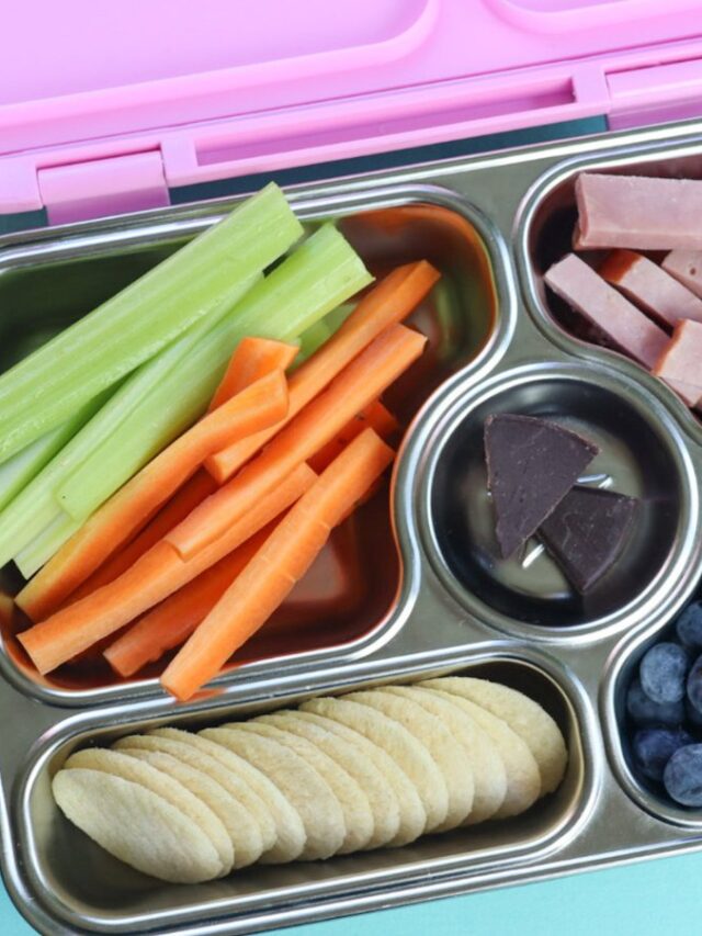 Bento Box Healthy & Delicious Bento Box Lunches For Kids - Salt in my