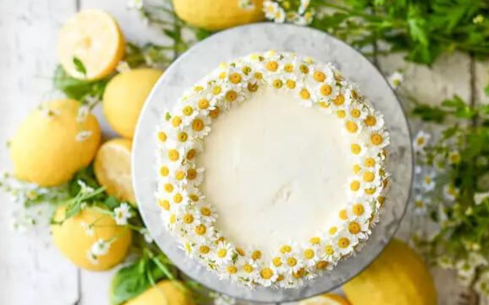 white frosted cake garnished with chamomile blossoms