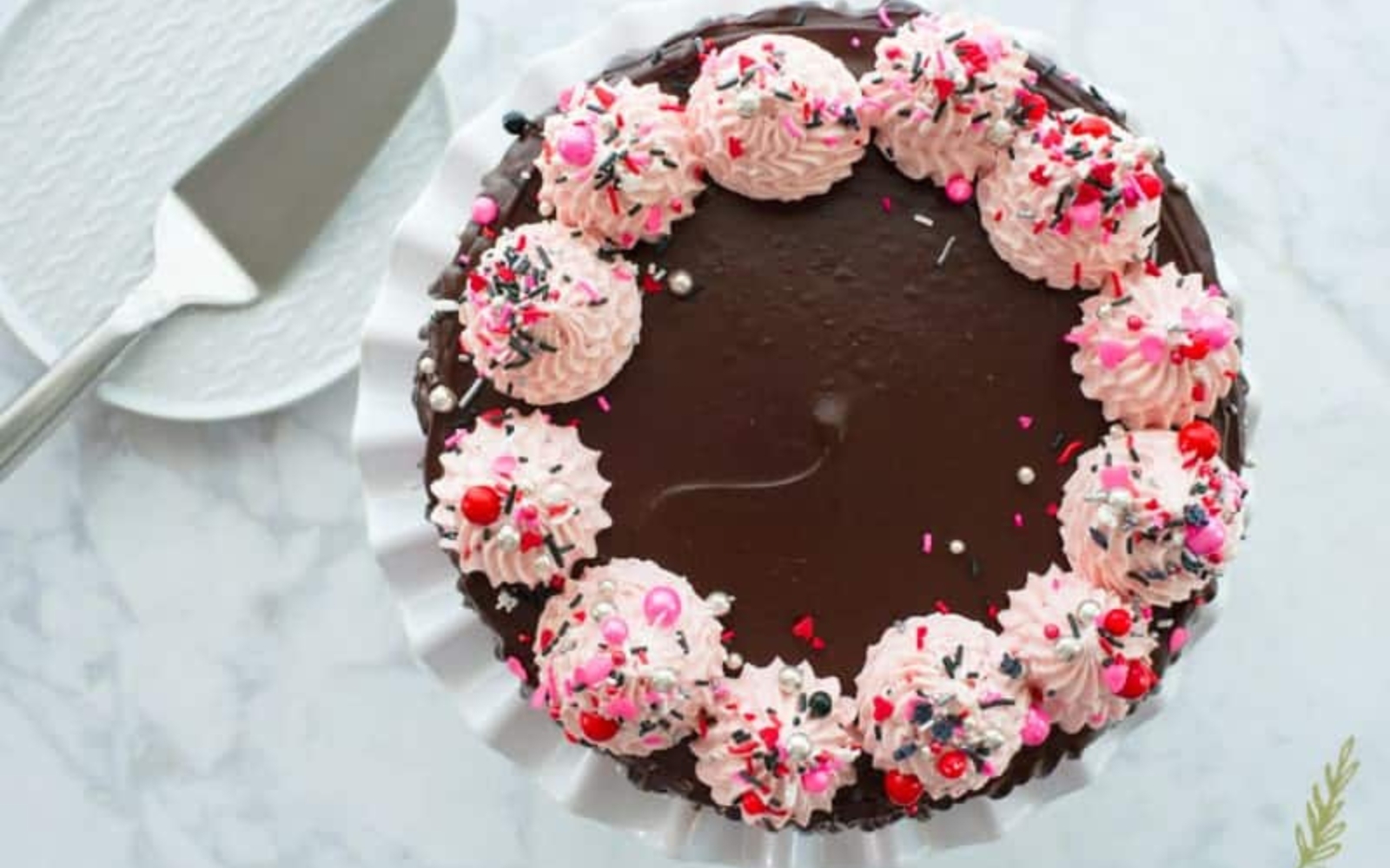 a raspberry chocolate ganache torte