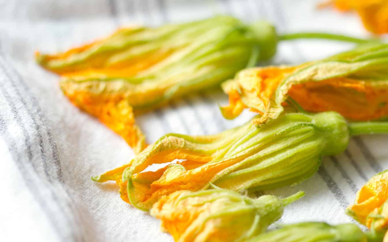 squash blossoms drying on a towel
