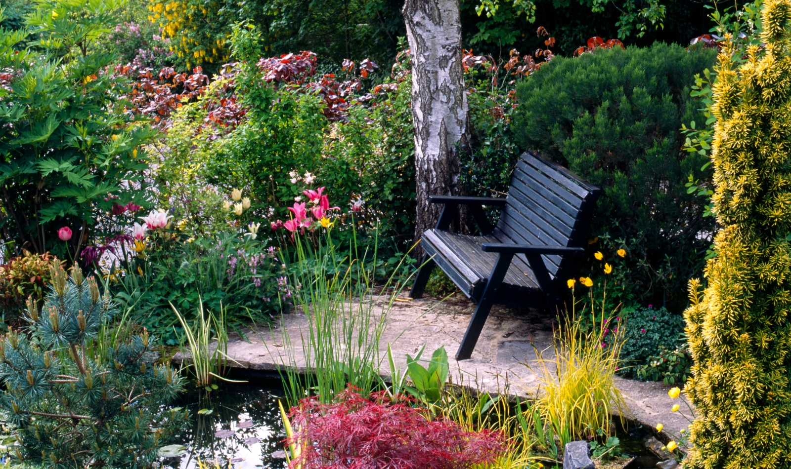 a bench in a garden