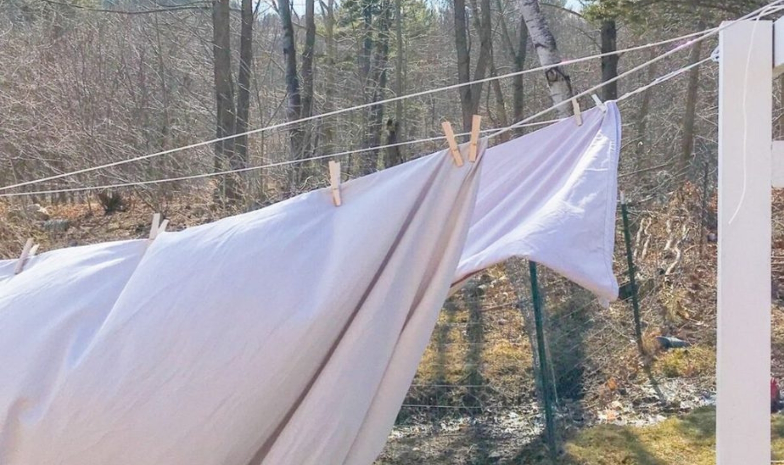 sheets blowing on a clothesline