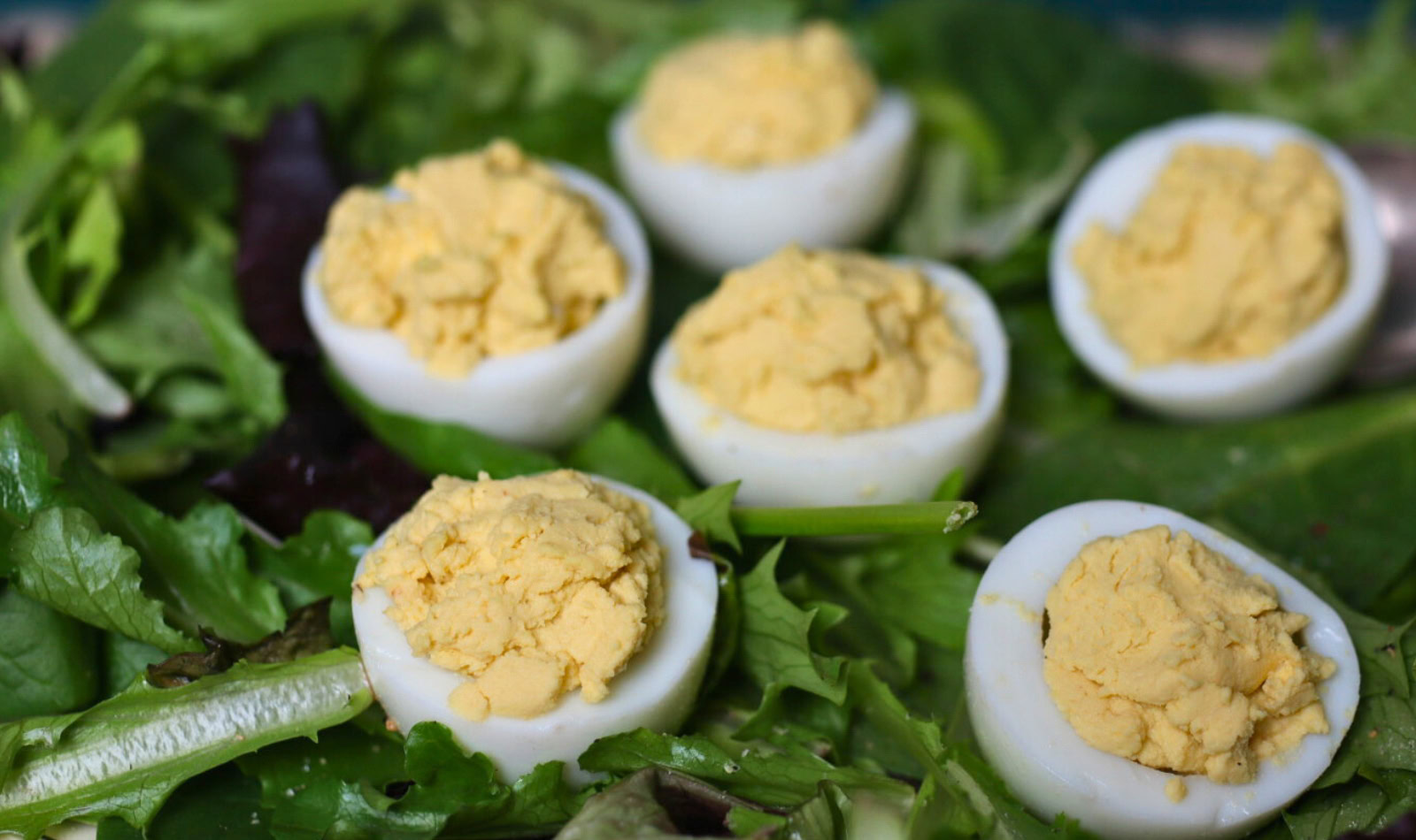 deviled eggs on a bed of greens