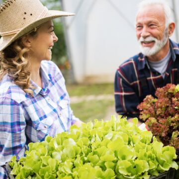 older man and daughter holding flats of lettuce seedlings and laughing