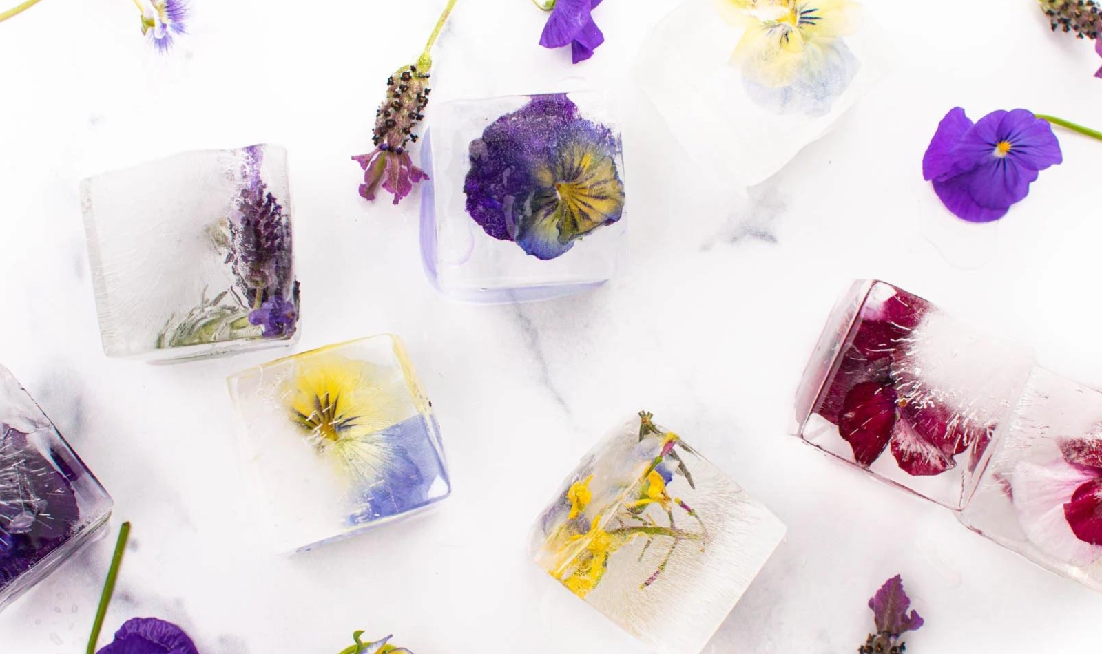 an assortment of flower ice cubes