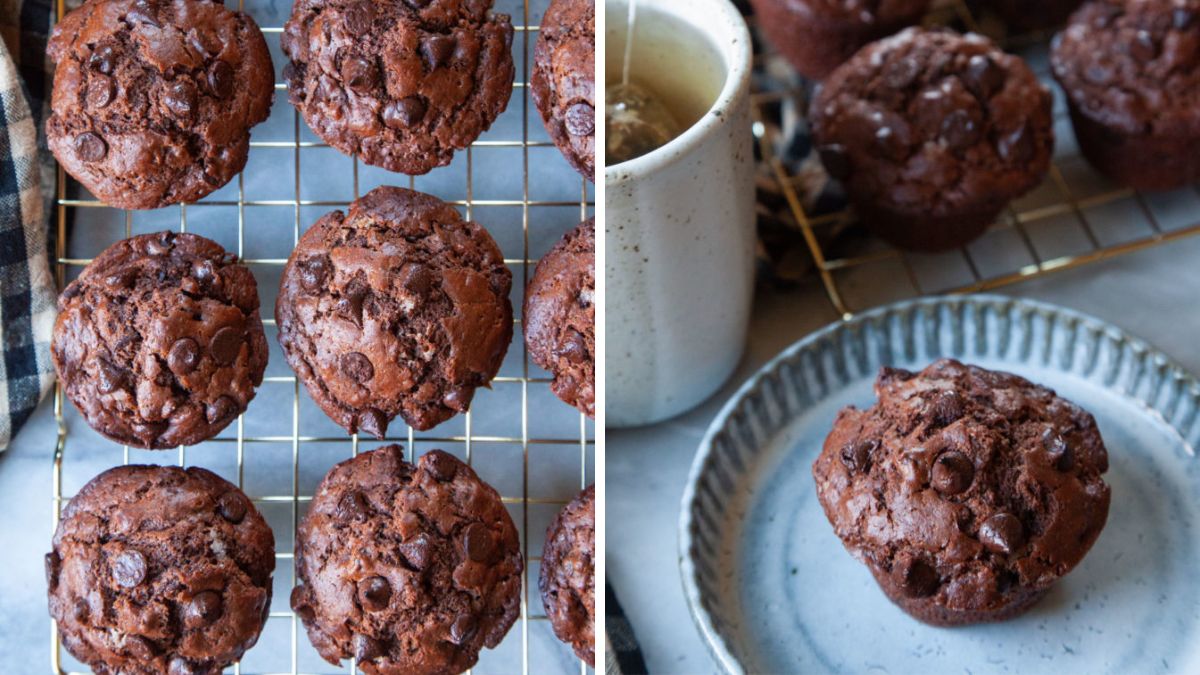 Double Chocolate muffins serve on plate