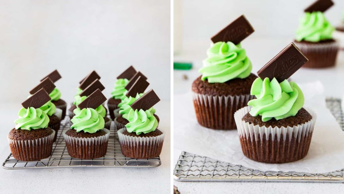 Cupcakes with frosting and chocolate