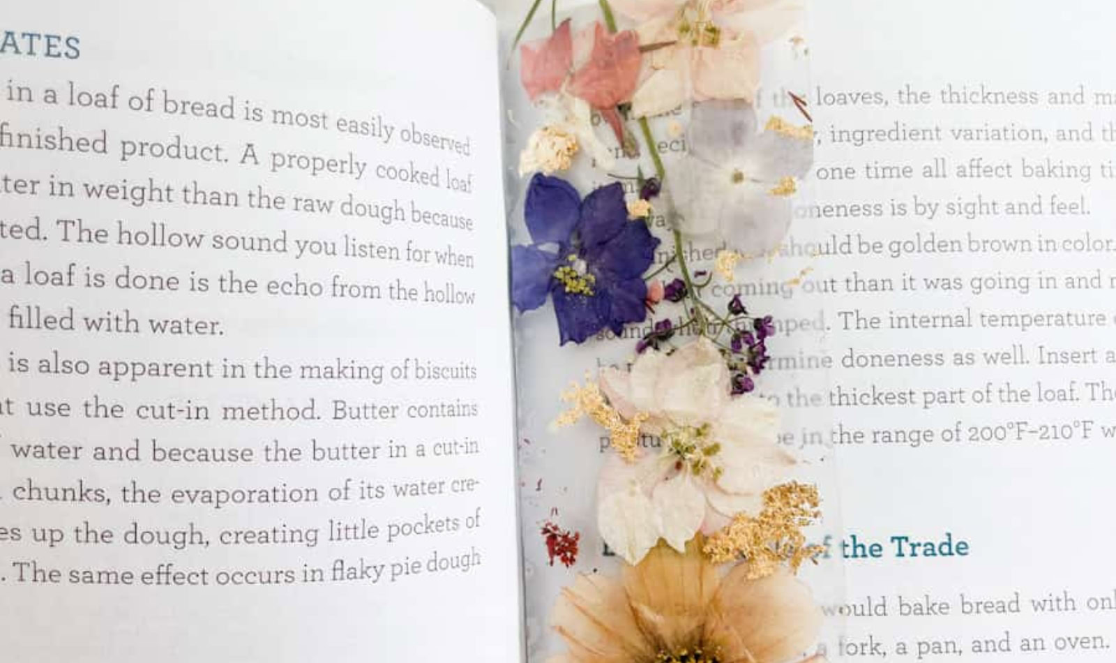 Image of pressed flowers laid across a book