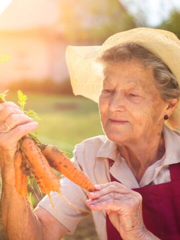 an old woman looking happily at a bunch of carrots in the garden