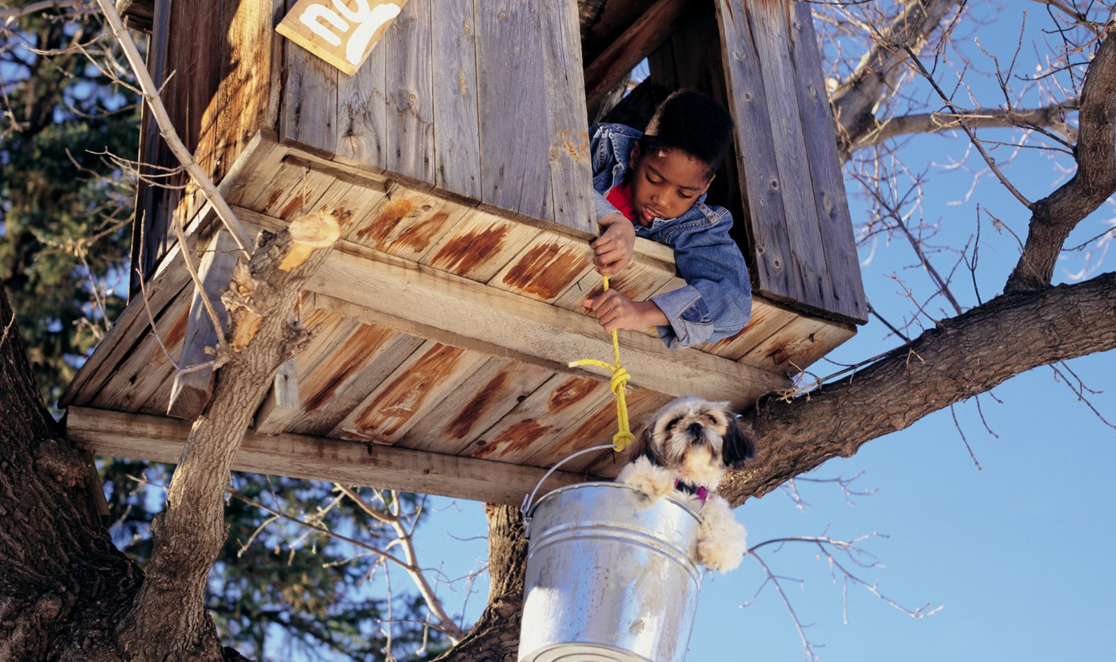 little boy and dog in a tree house