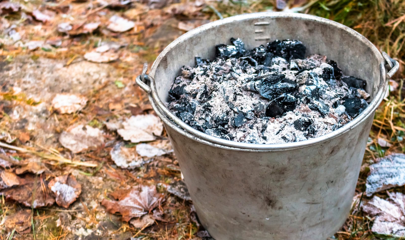 wood ash in a pail