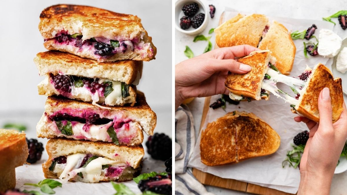 Grilled Cheese and blackberry sandwich