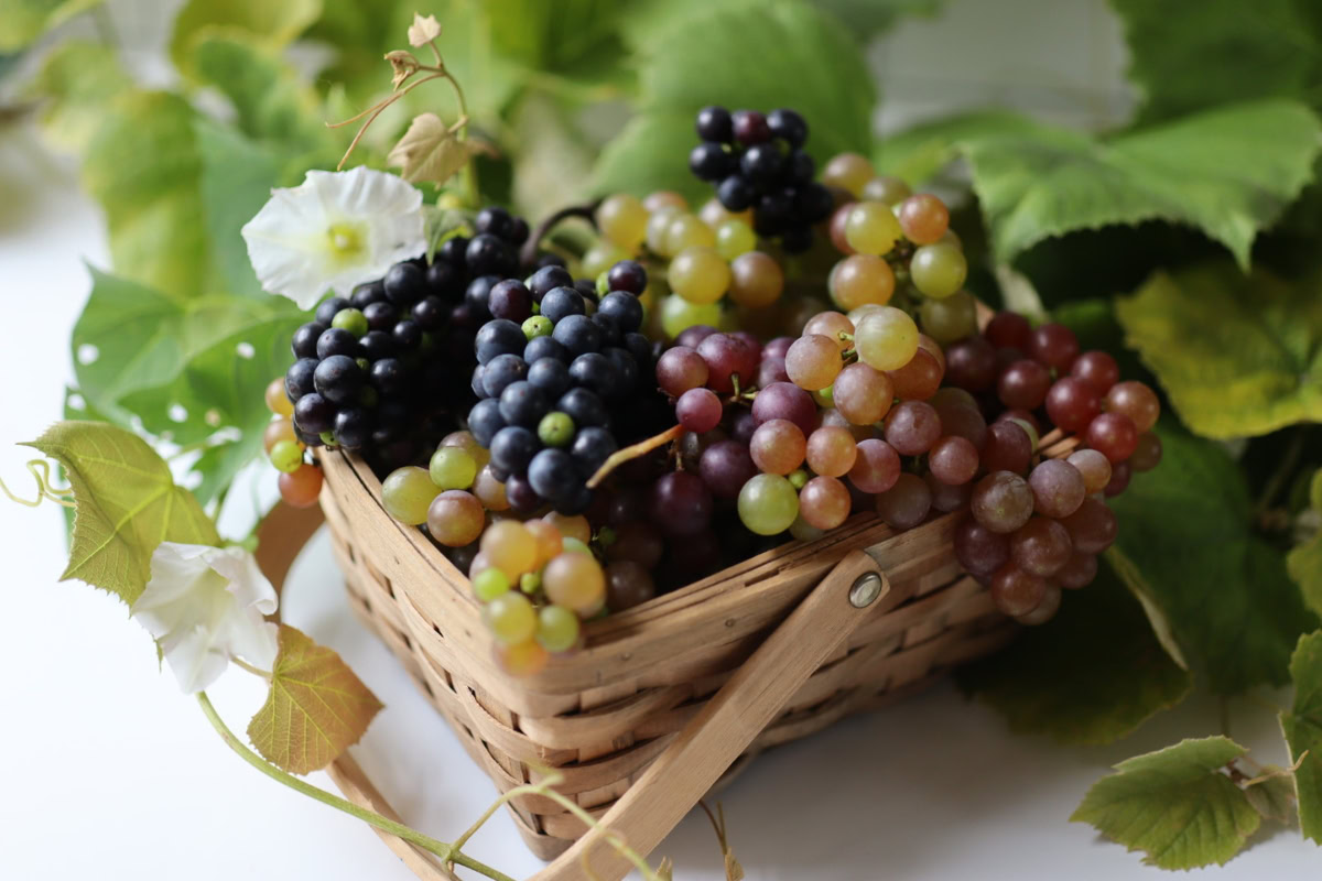 grapes in a basket with vines and flowers