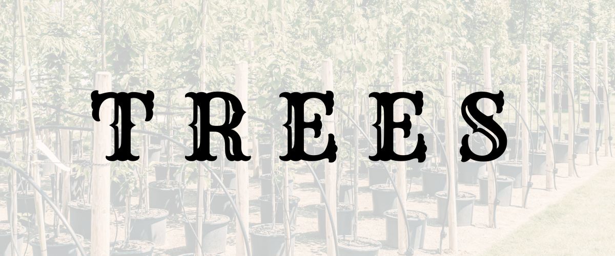 TREES