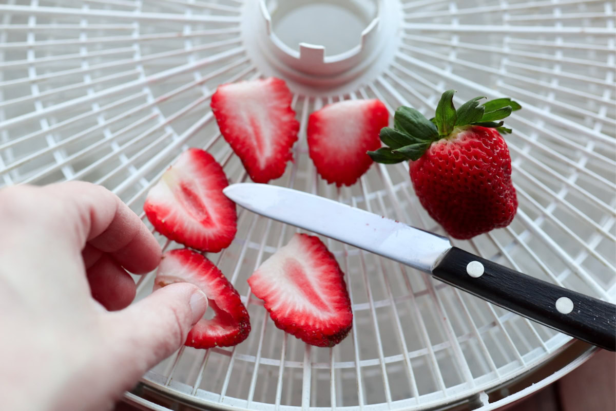 fresh sliced strawberries on a dehydrator tray
