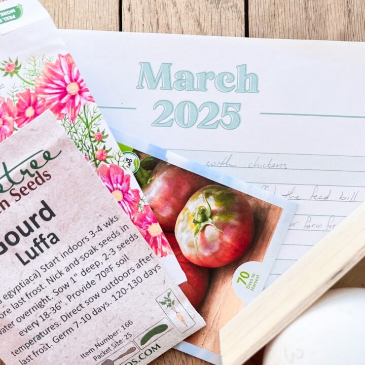 march calendar with seed packets