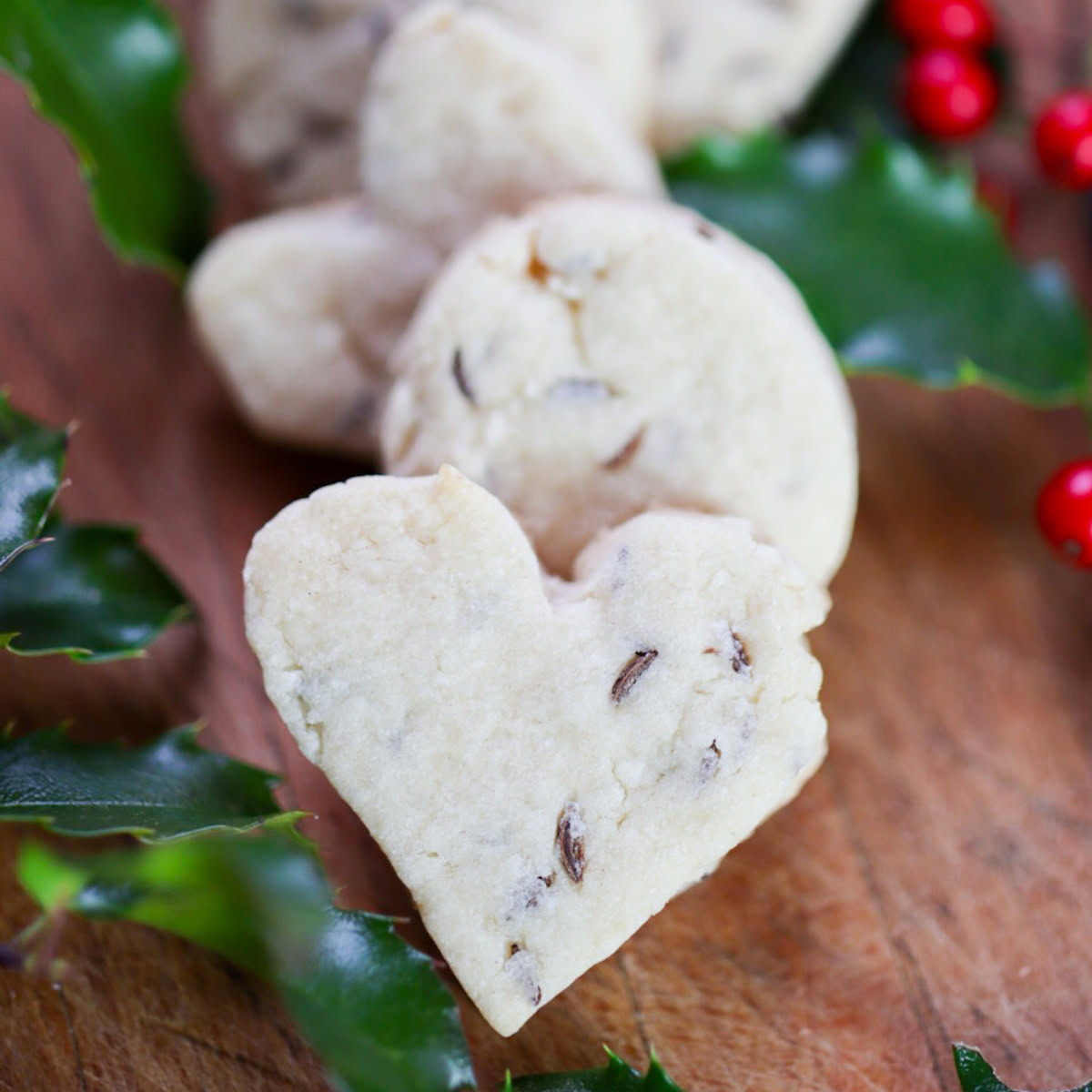 Christmas Cookies from an 1845 Christmas Cookie Recipe