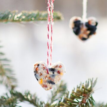 birdseed heart valentines