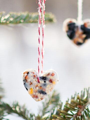 birdseed heart valentines