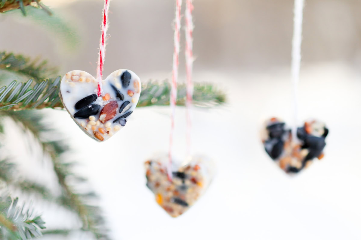 birdseed heart ornaments