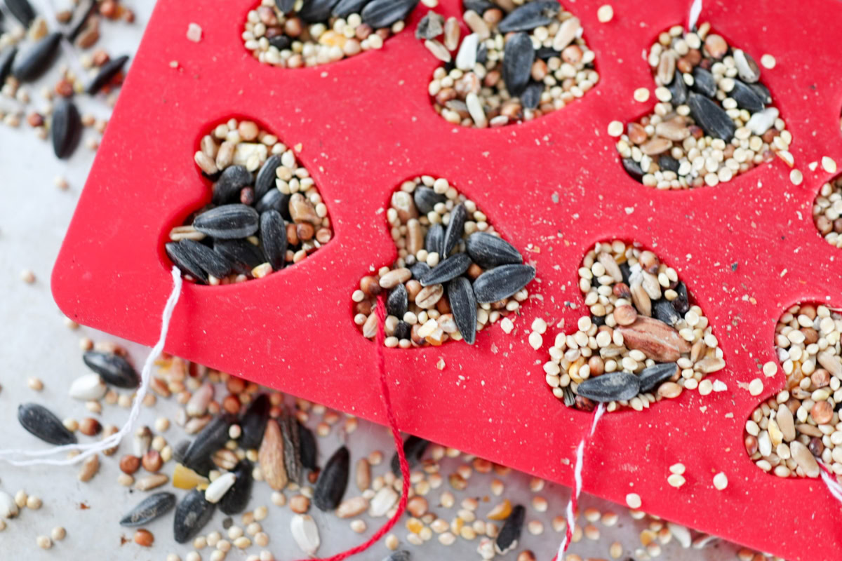 a silicone mold filled with birdseed